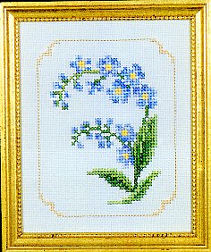 Forget-me-nots Kit