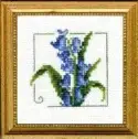 Carolyn's Garden Bluebell