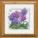 Carolyn's Garden Violets