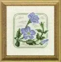 Carolyn's Meadow Periwinkle