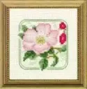 Carolyn's Meadow Dog Rose