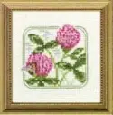 Carolyn's Meadow Red Clover