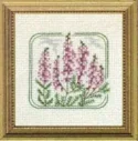 Carolyn's Meadow Heather