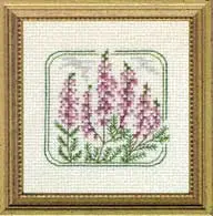 Carolyn's Meadow Heather