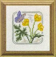 Carolyn's Meadow Buttercup