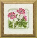 Carolyn's Meadow Cranesbill