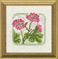 Carolyn's Meadow Cranesbill
