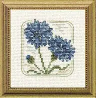 Carolyn's Meadow Cornflower