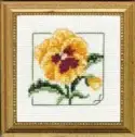 Carolyn's Garden Pansy