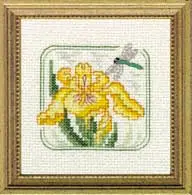 Carolyn's Meadow Yellow Flag