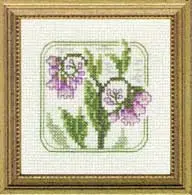 Carolyn's Meadow Comfrey