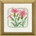 Carolyn's Meadow Maiden Pink