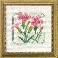 Carolyn's Meadow Maiden Pink