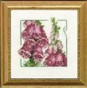 Carolyn's Garden Foxglove