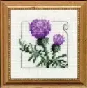 Carolyn's Garden Thistle