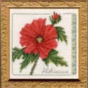 Floral Elegance Hibiscus Complete Kit