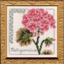 Floral Elegance Pelargonium Complete Kit