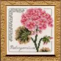 Floral Elegance Pelargonium Complete Kit