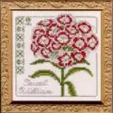 Floral Elegance Sweet William Complete Kit