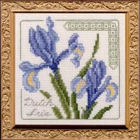 Floral Elegance Dutch Iris Complete Kit