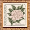 Floral Elegance Gardenia Complete Kit