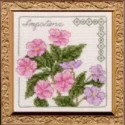 Floral Elegance Impatiens Complete Kit