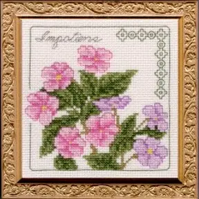 Floral Elegance Impatiens Complete Kit