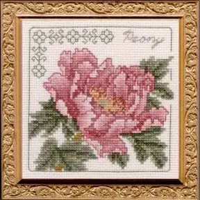 Floral Elegance Peony Complete Kit