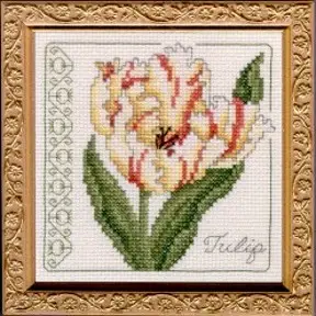 Floral Elegance Tulip Complete Kit