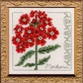 Floral Elegance Verbena Complete Kit