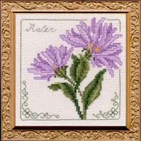 Floral Elegance Aster Complete Kit
